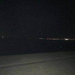 ショートバイトばかり↓