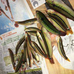 親父とサーフベラ