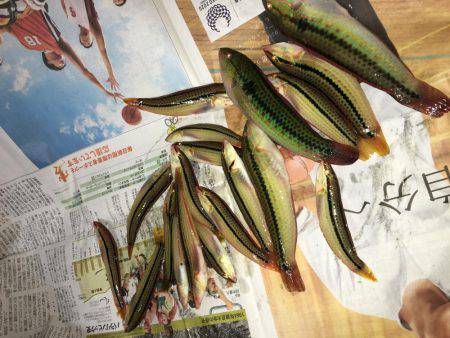 親父とサーフベラ