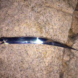 友人デビュー戦！