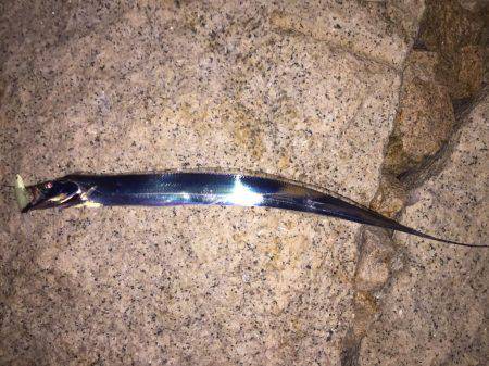 友人デビュー戦！