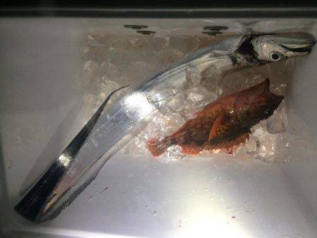 二兎を追うも追いきれず。