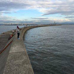 ショアジギング