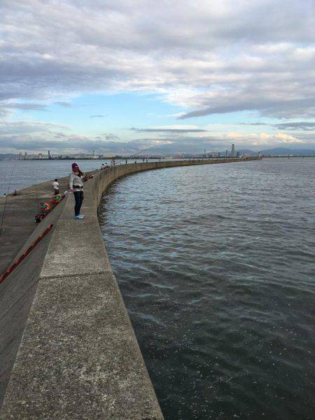 ショアジギング