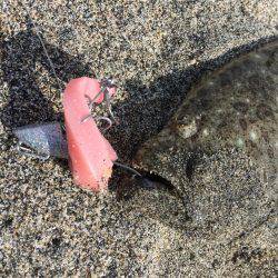 トルク波動で連発