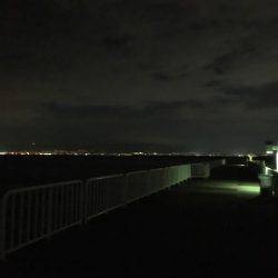 タチウオのはずが…