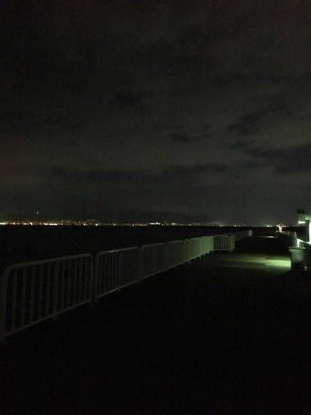 タチウオのはずが…