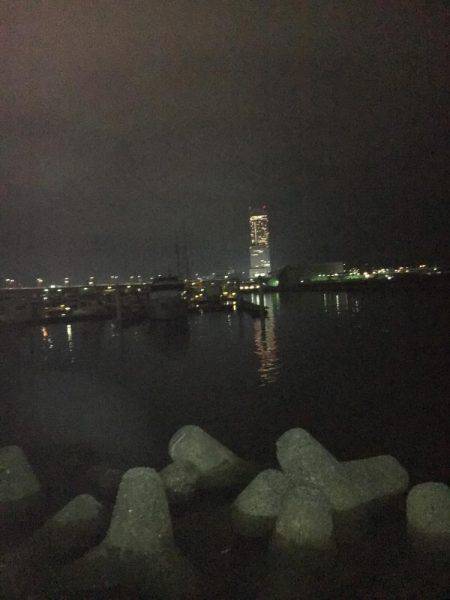 NEWリールアジング！