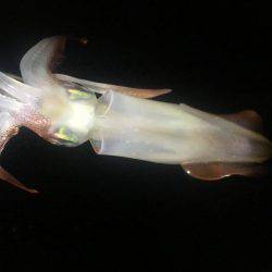 お腹いっぱい‼️