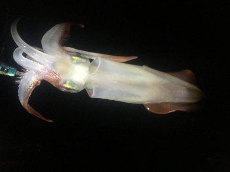 お腹いっぱい‼️