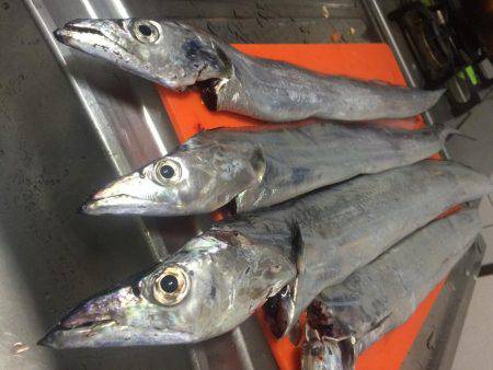 ポーアイ沖にて