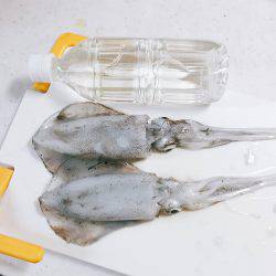 ようやくアオリが釣れました！