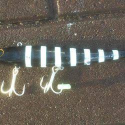 足元 サゴシ-太刀魚