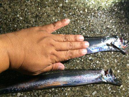 太刀魚ゲッター