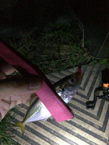 風はあったけど面白かった‼️