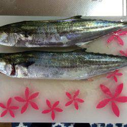 北港周辺で朝練