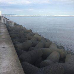 朝まずめ狙いでした