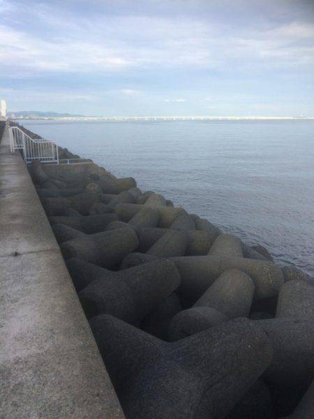 朝まずめ狙いでした