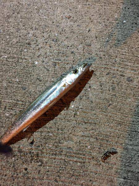 シャクリシャクリ&ライトライト