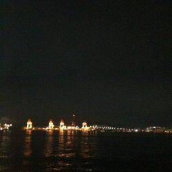 なかなかのサイズ