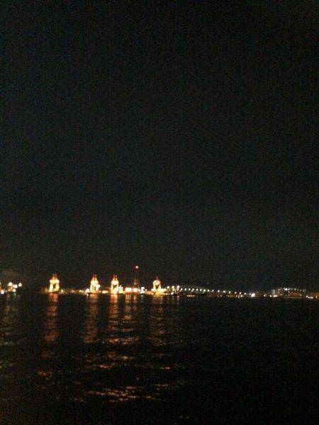 なかなかのサイズ