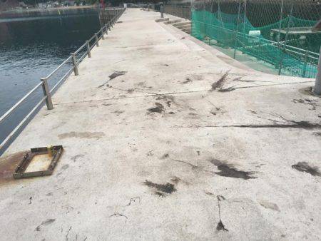 久しぶりの平日休み♪