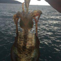 今日は月が明るいです(○´3`○)ノ