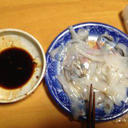 ケンサキ時々アオリ