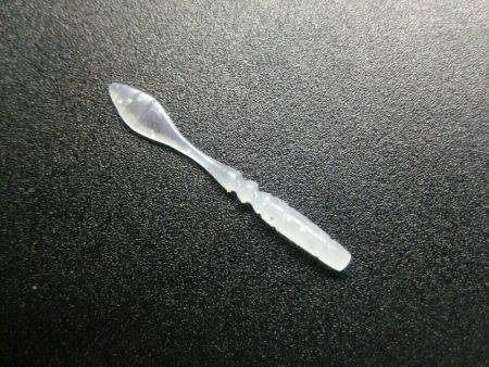 中アジいました〜☆