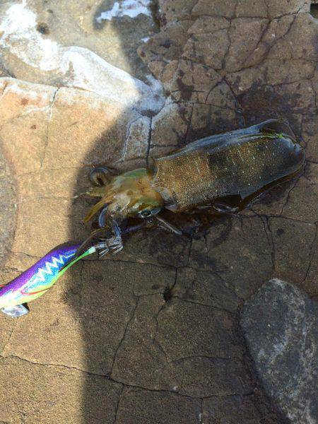 初モノばっかり！！