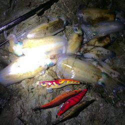 短時間エギング