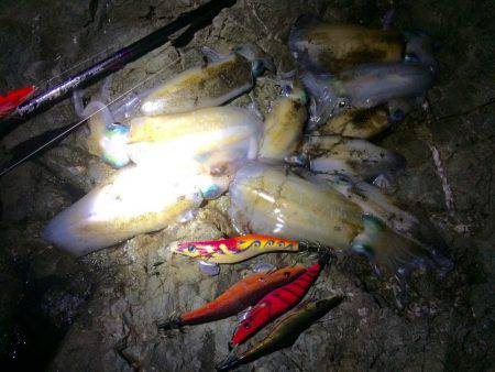 短時間エギング