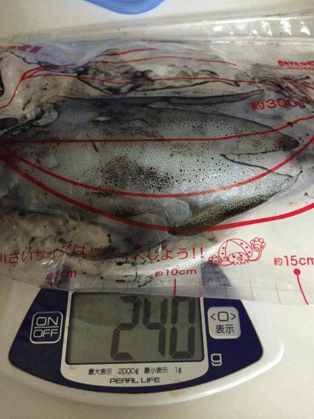 田ノ浦漁港エギング14回目