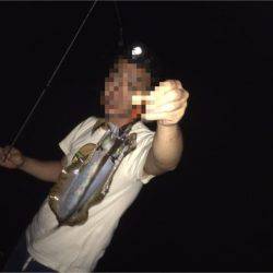 日本海秋アオリ調査