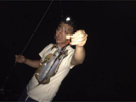 日本海秋アオリ調査