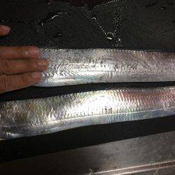 渋かったです！！