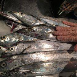 しっぶい、、、