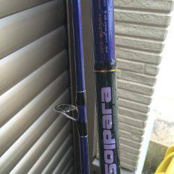 タコから始まる寸劇