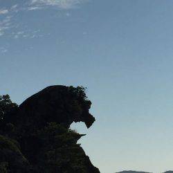 七里御浜 青物狙うも…