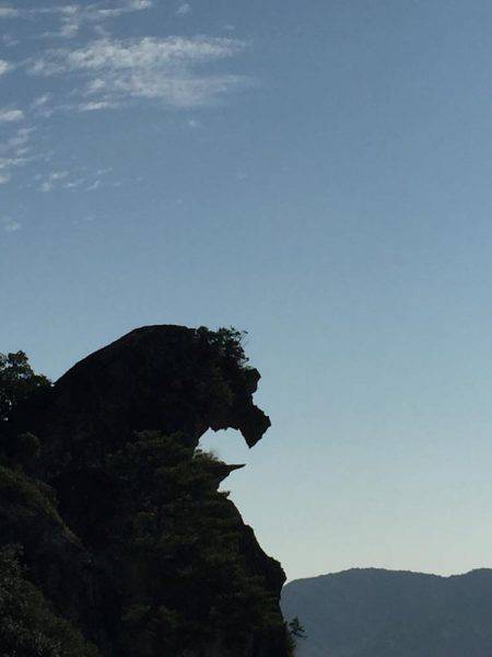 七里御浜 青物狙うも…