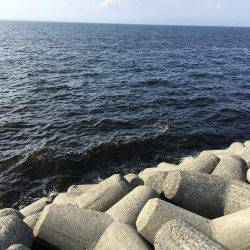 久しぶりの貝塚人工島!