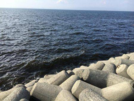 久しぶりの貝塚人工島!