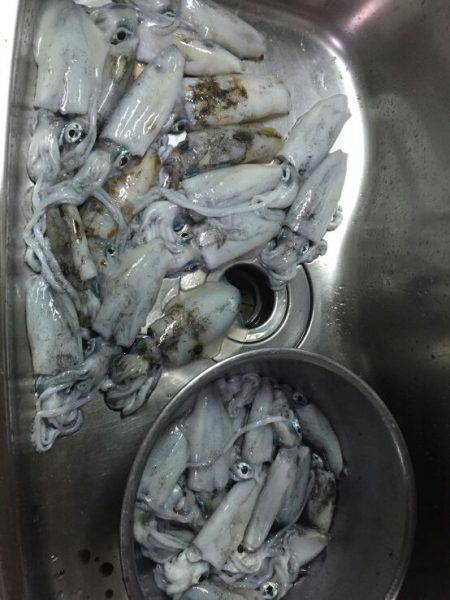 大漁を目指して磯へヤブこぎに