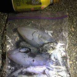 メバリングロッドで抜けない!?