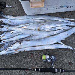 水軒鉄鋼団地でタチウオ、ツ抜け!