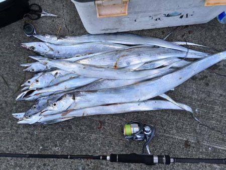 水軒鉄鋼団地でタチウオ、ツ抜け!