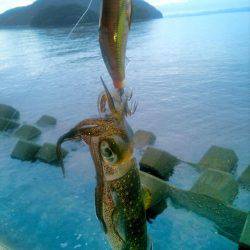 ポイントによってこんなにも･・