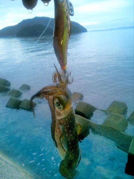 ポイントによってこんなにも･・