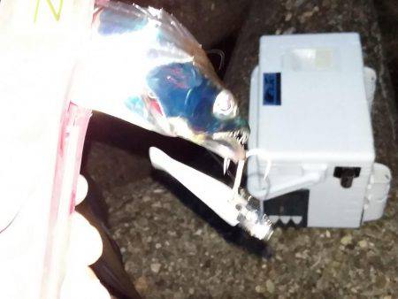 近場にも、タチウオが来たあ!