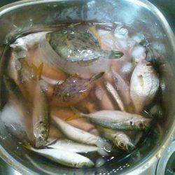 想い出の地、初島へ